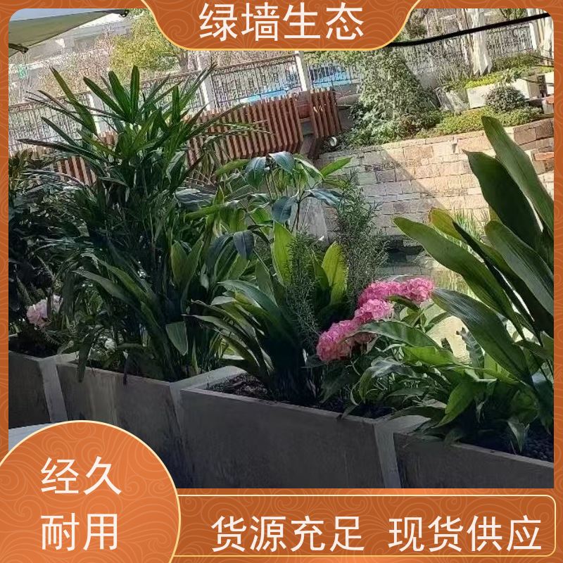 绿墙生态 围墙篱笆装饰 爬藤攀援植物覆盖架构 庭院景观绿化