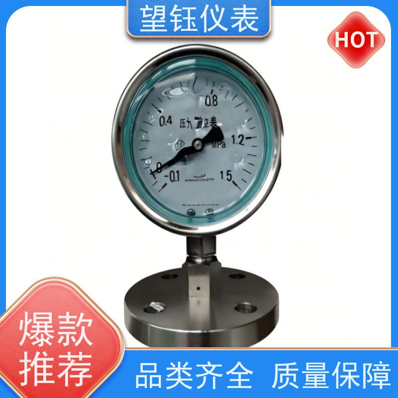 望钰  Y-60ZT 卡箍快装压力表  锅炉  支持配送到厂