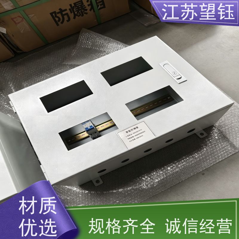 江苏望钰室内型仪表箱 Exd IIC T6 水处理设备保护箱