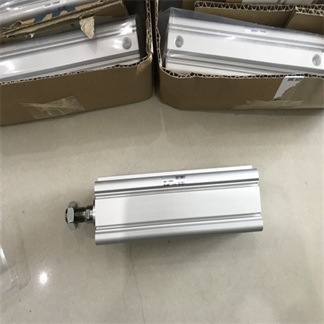 SMC耐水性强气缸MGPM63-WCS301-100Z