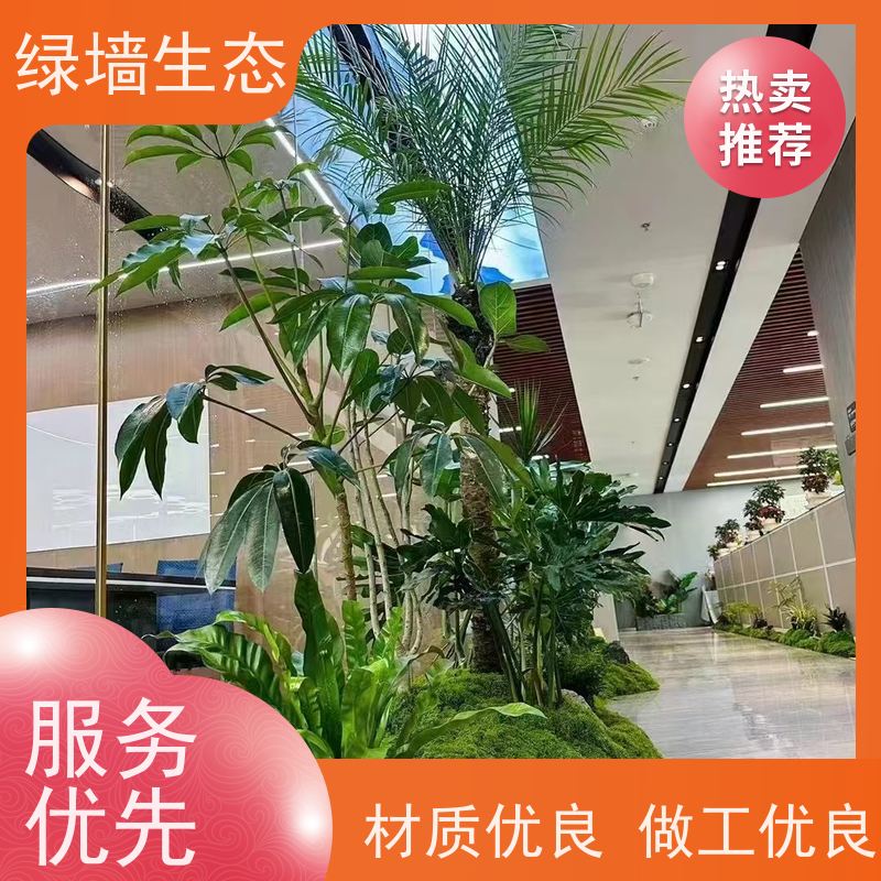 绿墙生态 造型松景松苗木庭院别墅小区绿.化乔木 室内园林景观