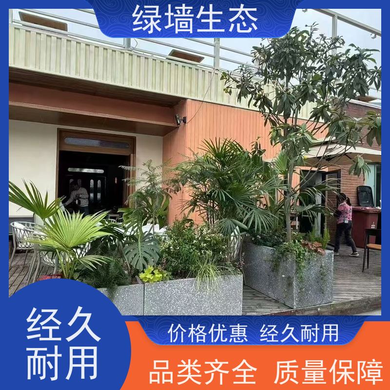 绿墙生态 厂区园区绿.化布局乔木灌木草坪分层 室内小型景观