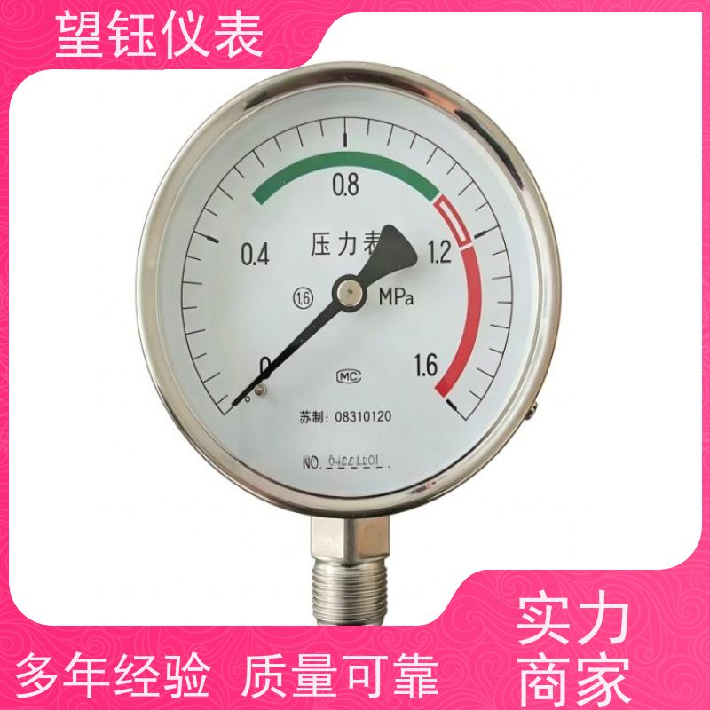 望钰  YN-100 卫生型隔膜压力表  消防系统  规格齐全