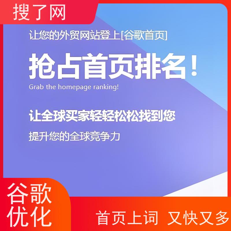手机/电脑两端自适应  谷歌独立站优化推广 小组多对一精心服务