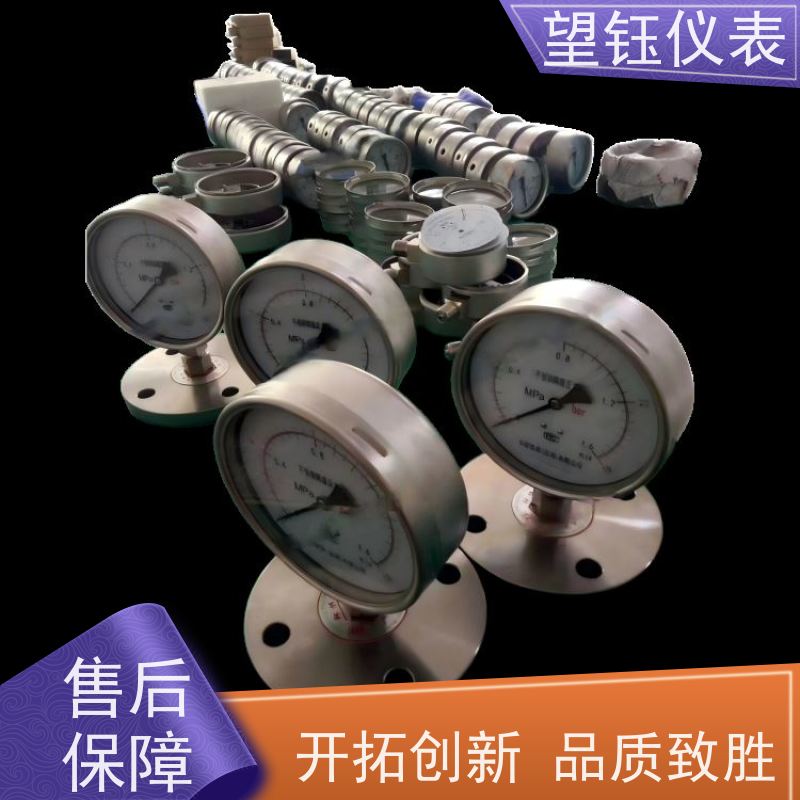 望钰  YN-150 径向压力表  消防系统  支持配送到厂
