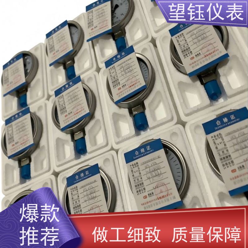 望钰  YX-150 膜盒压力表  数显指针可选  快捷发货