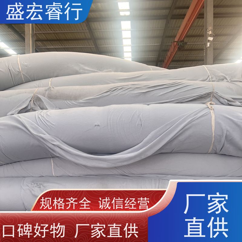 盛宏睿行 PET土工布  垃圾填埋场 防渗隔离过滤布 国标