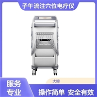 子午流注穴位电疗仪 大鲸台式机 DJ-A5型 2通道 全科用 医保甲类