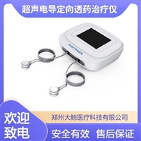 超声脉冲电导仪 中医定向透药治疗 自动温热电脉冲