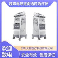 超声透药仪-01型-脉冲定向导入治疗设备 DJ牌