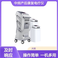 中低频产后康复治疗仪 大鲸术后综合恢复仪 立式模板