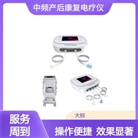 大鲸双头 多功能产后康复治疗仪原理 双人同时使用