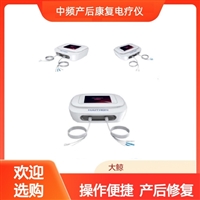 中频产后康复治疗仪 大鲸台式机 产后恢复一体机 四通道 DJ-M5型