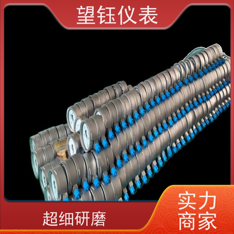 望钰  Y-60 卫生型隔膜压力表  化工管道  专注生产
