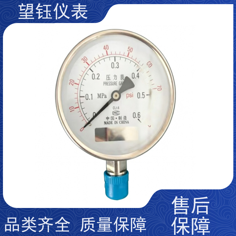 望钰  Y-150ZT 卫生型隔膜压力表  量程定制  规格齐全