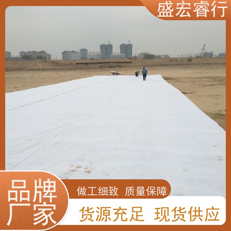 盛宏睿行 涤纶土工布  耐高温长丝 工程施工专用材料