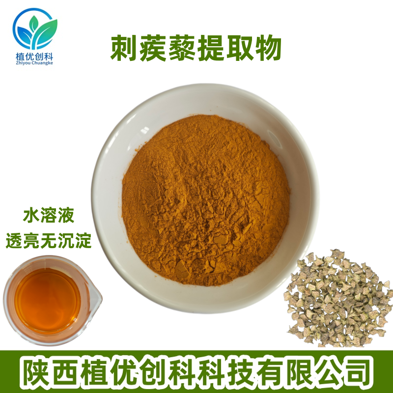 刺蒺藜提取物 刺蒺藜皂甙 陕西植优创科