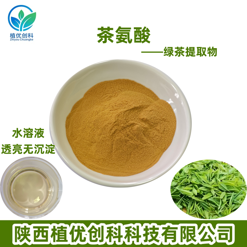 茶氨酸绿茶提取物