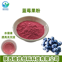 蓝莓粉 陕西植优创科