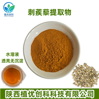 刺蒺藜提取物 刺蒺藜皂甙 陕西植优创科