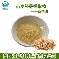 亚精胺 小麦胚芽提取物