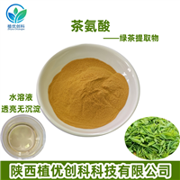 茶氨酸绿茶提取物