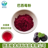巴西莓粉 巴西莓提取物 巴西莓果粉 陕西植优