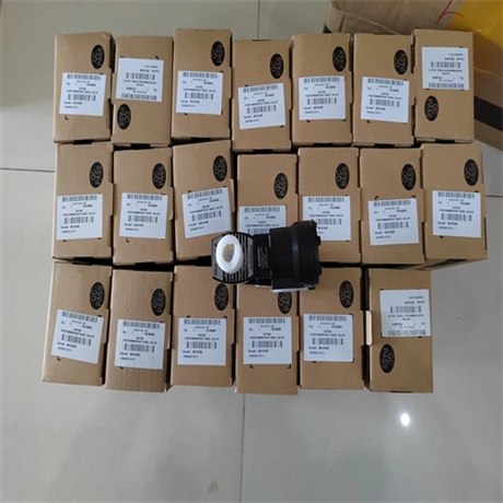 规格说明 ASCO阿斯卡电磁阀WBIS8551A313 24V