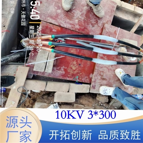 10kV电缆熔接头3*300 熔接式中间接头小区配电电缆修复接头成套