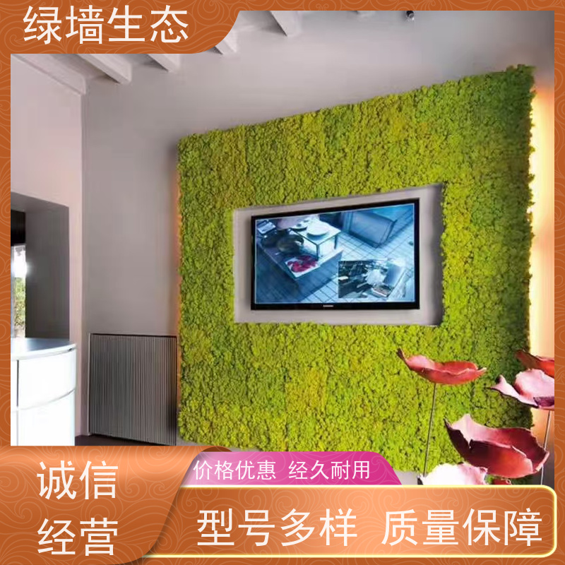 绿墙生态 分层堆叠造景室内隔断层次布置植被 造型苔藓