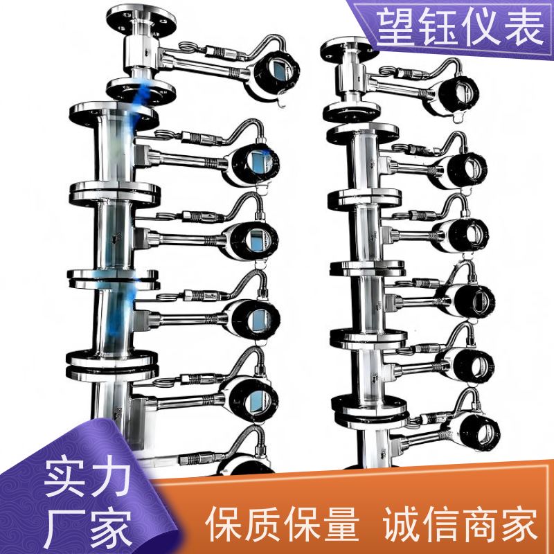 望钰仪表DN65/DN80远传涡街流量计  规格齐全  长效免维护计量