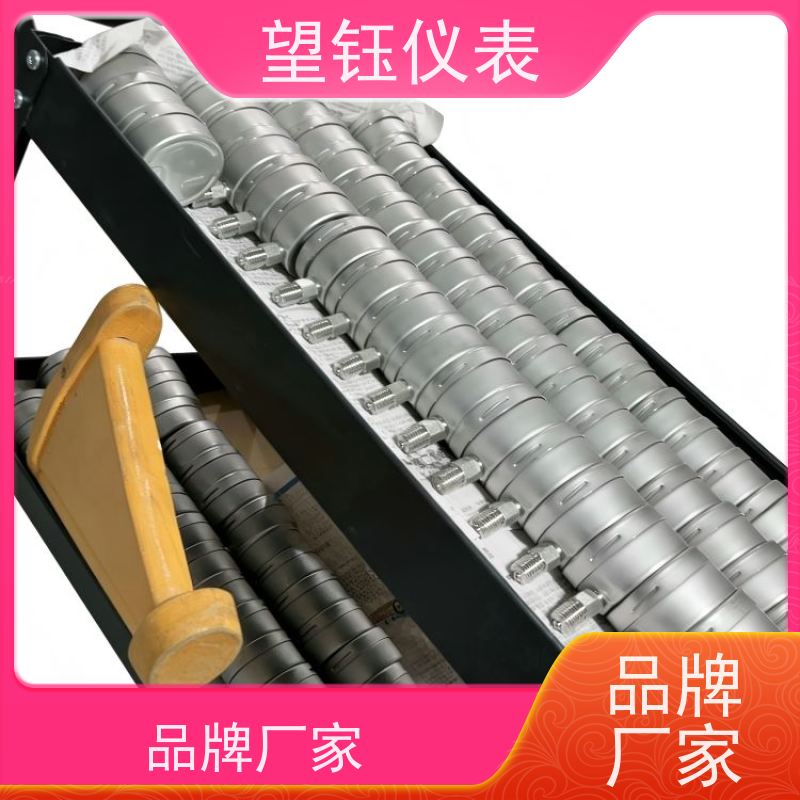 望钰  Y-150Z 卫生型隔膜压力表  液压系统  快捷发货