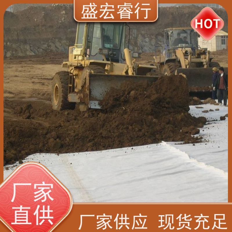 盛宏睿行 热烫土工布  针刺无纺 短丝 人工湖鱼塘护坡过滤布