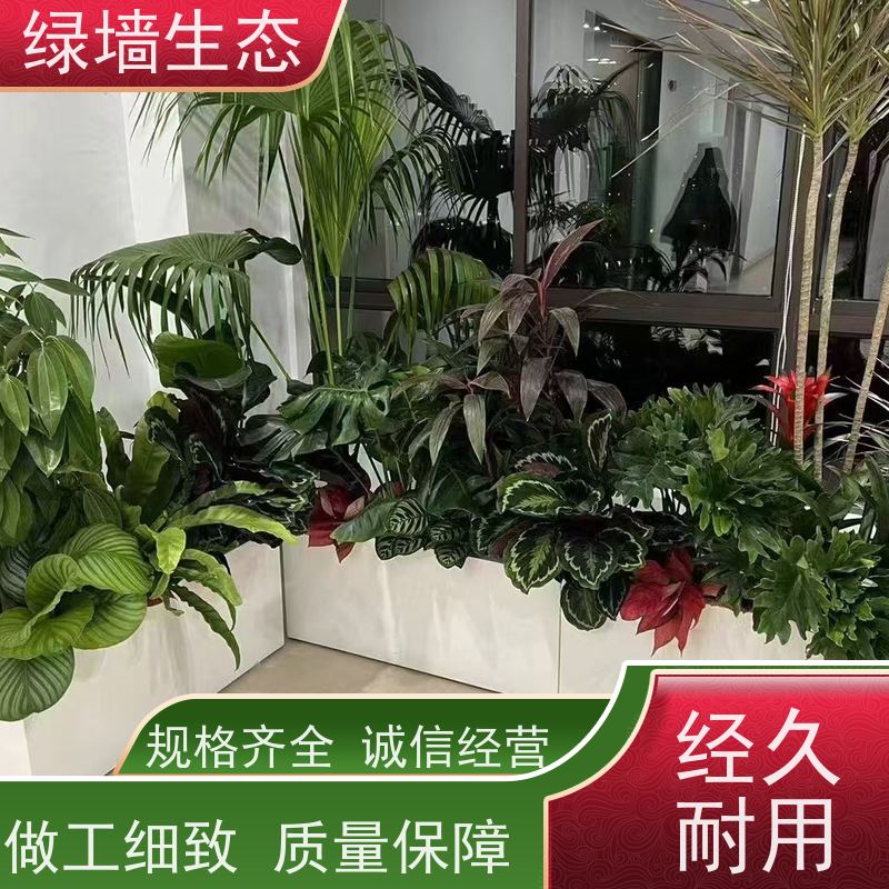 绿墙生态 连廊通道垂直 垂吊藤蔓植物墙面装饰 小区景观绿化