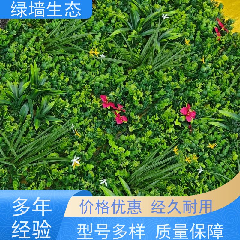 绿墙生态 过胶叶片户外防风防雨不易脱落墙 仿真绿化工程