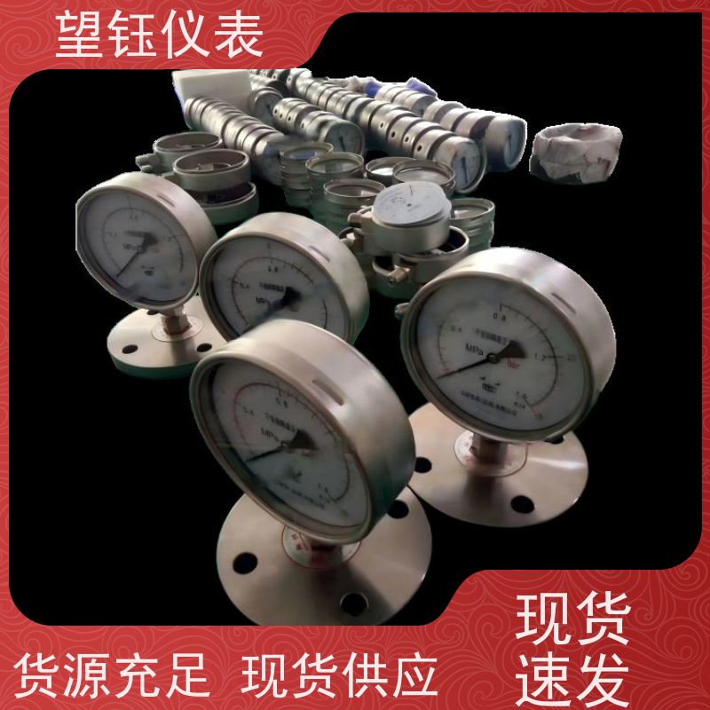 望钰  YX-60 卡箍快装压力表  食品制药  支持配送到厂