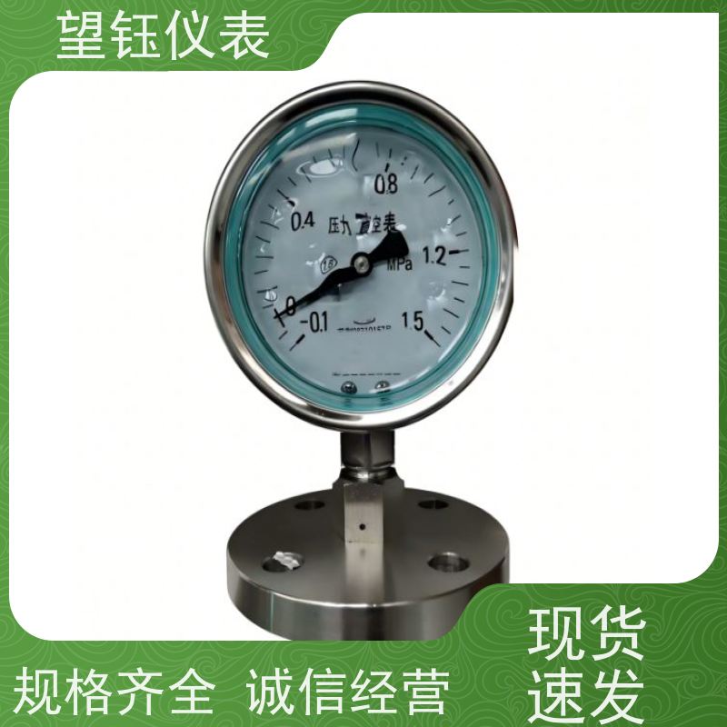 望钰  YXC-100 法兰连接压力表  量程定制  厂家供应
