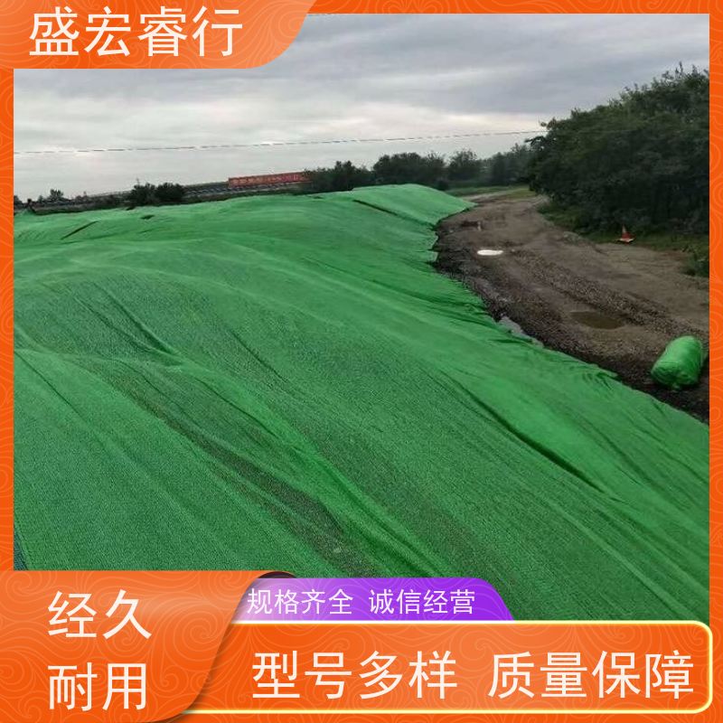 盛宏睿行 PET土工布  运动场 地基排水加固隔离布 定制