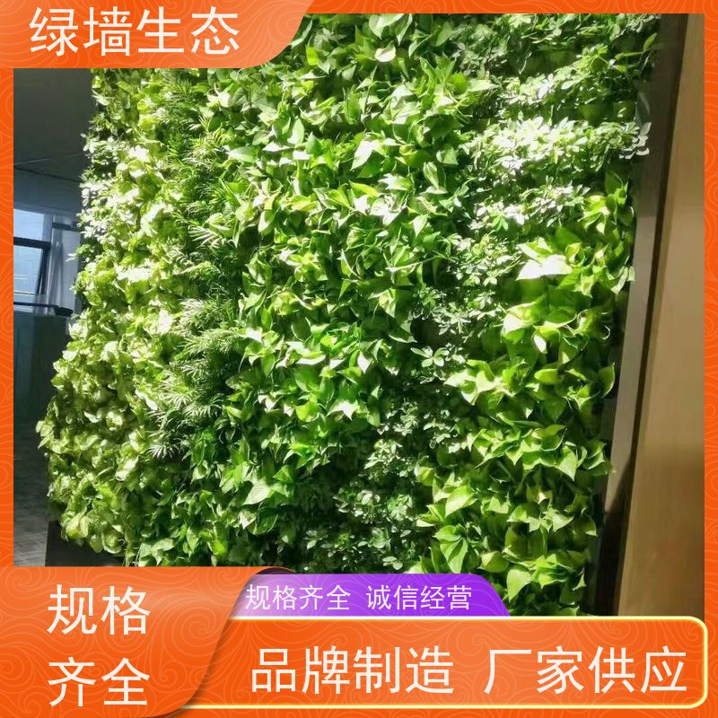 绿墙生态 垂直绿化 会所包间私密空间隔断立.体装饰墙面