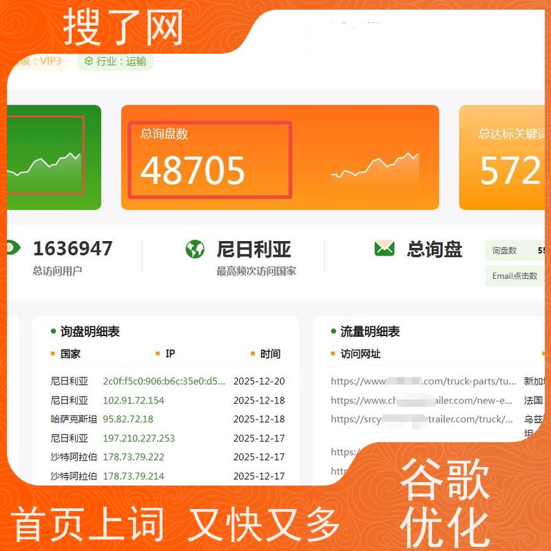 提升网站优化排名  谷歌SEO方案 小组多对一精心服务