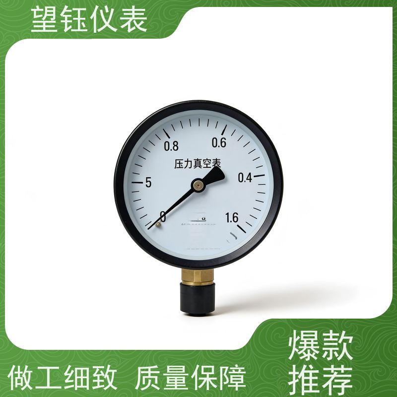 望钰  YX-60 卡箍快装压力表  气动设备  支持配送到厂