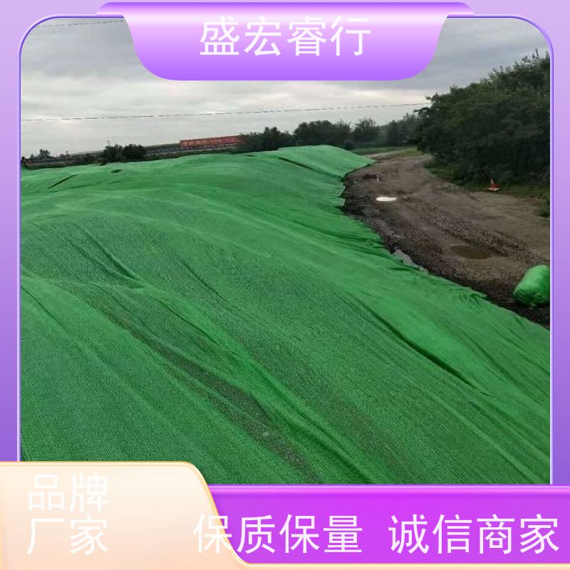 盛宏睿行 丙纶土工布  耐高温长丝 工程施工专用材料