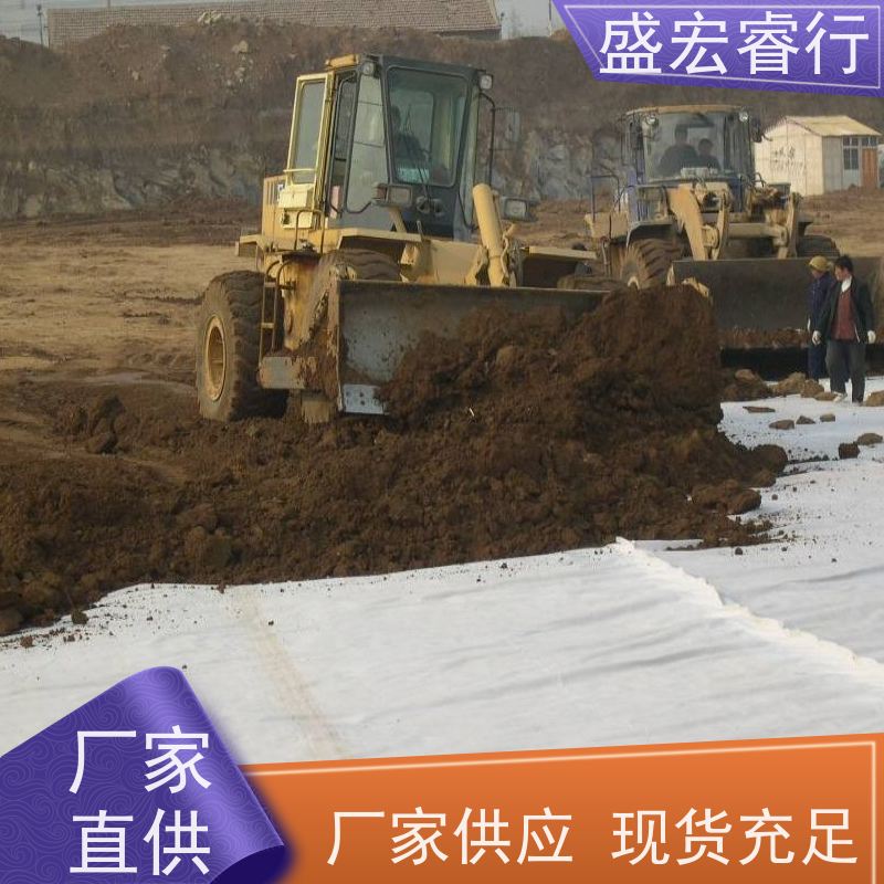 盛宏睿行 土工布  国标短丝针刺 水利堤坝反滤布