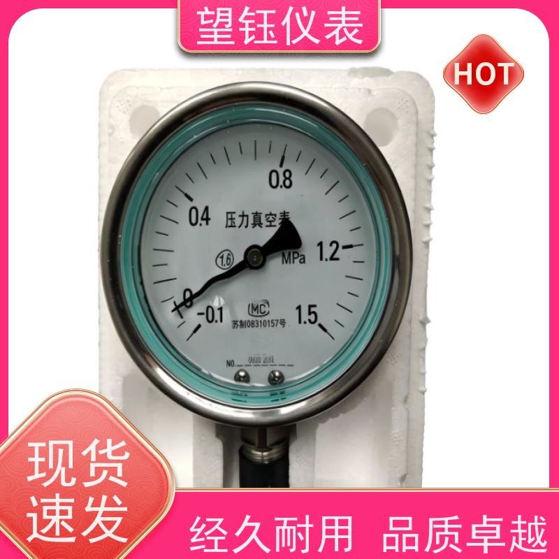 望钰  YE-100 卫生型隔膜压力表  电力行业  规格齐全