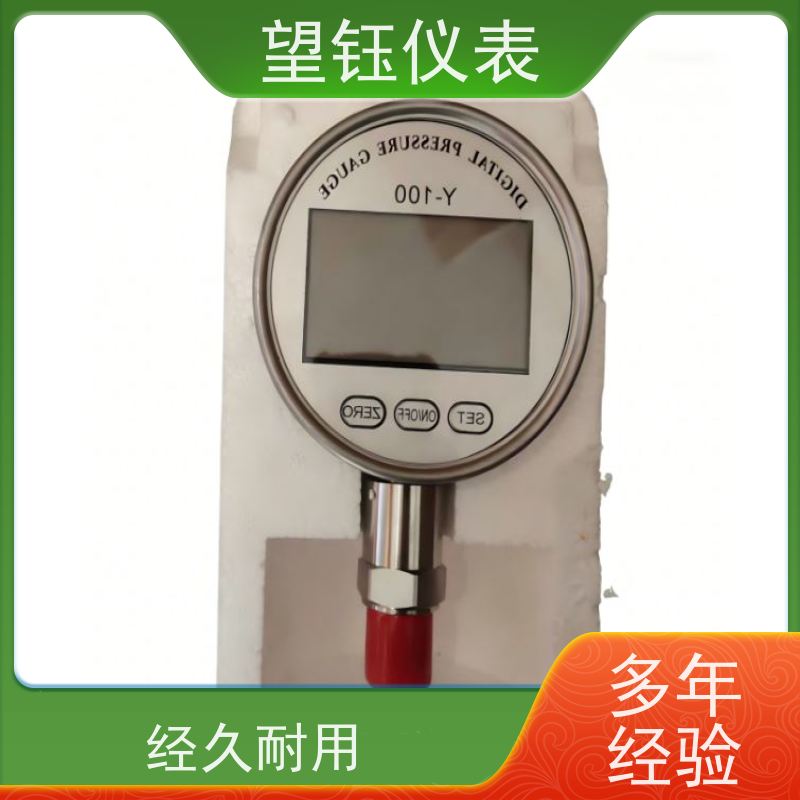 望钰  YN-100 轴向压力表  数显指针可选  支持配送到厂