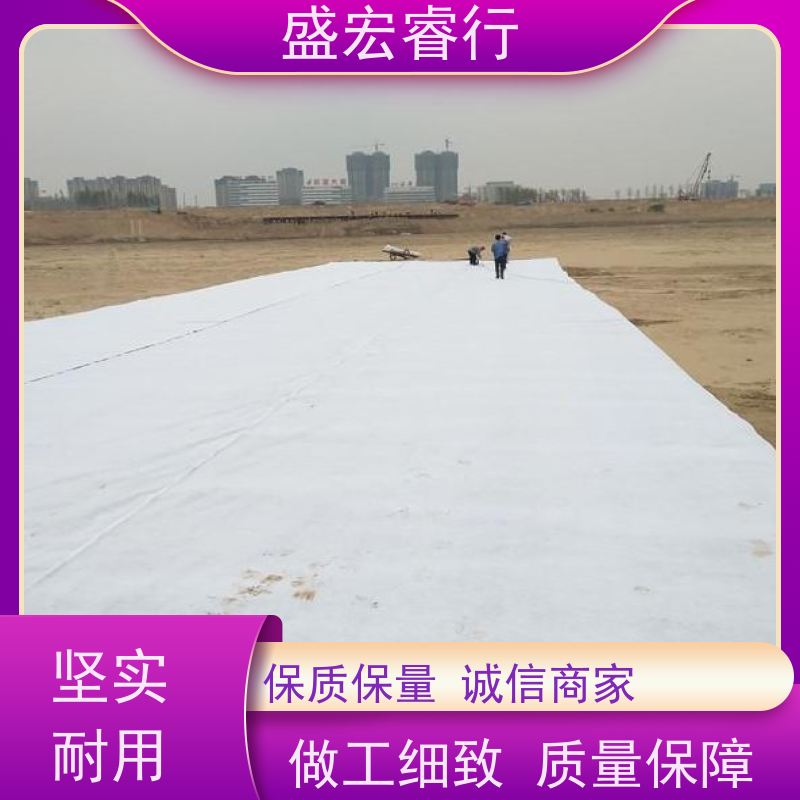 盛宏睿行 涤纶土工布  环保 道路养护桥梁保湿无纺布