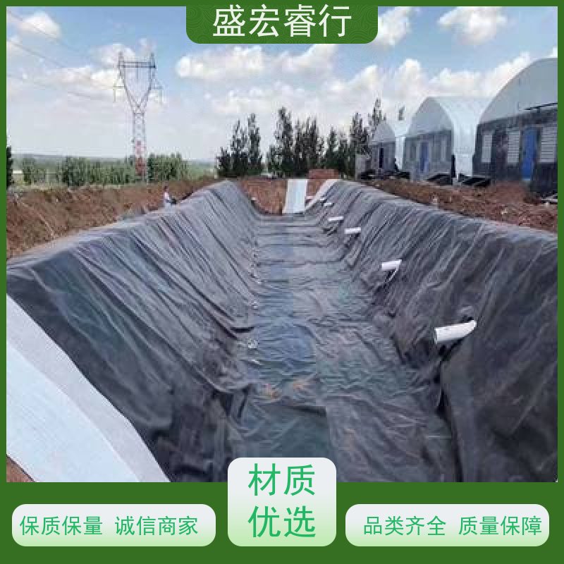 盛宏睿行 PE塑料薄膜 养殖专用防.渗膜 全新料无毒防.水膜 防水膜