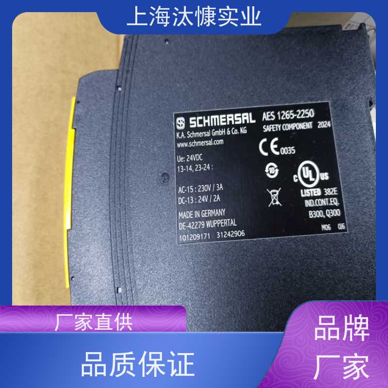 Schmersal施迈赛 安全铰链开关 BNS 36-02Z-R 精品行货 放心选购