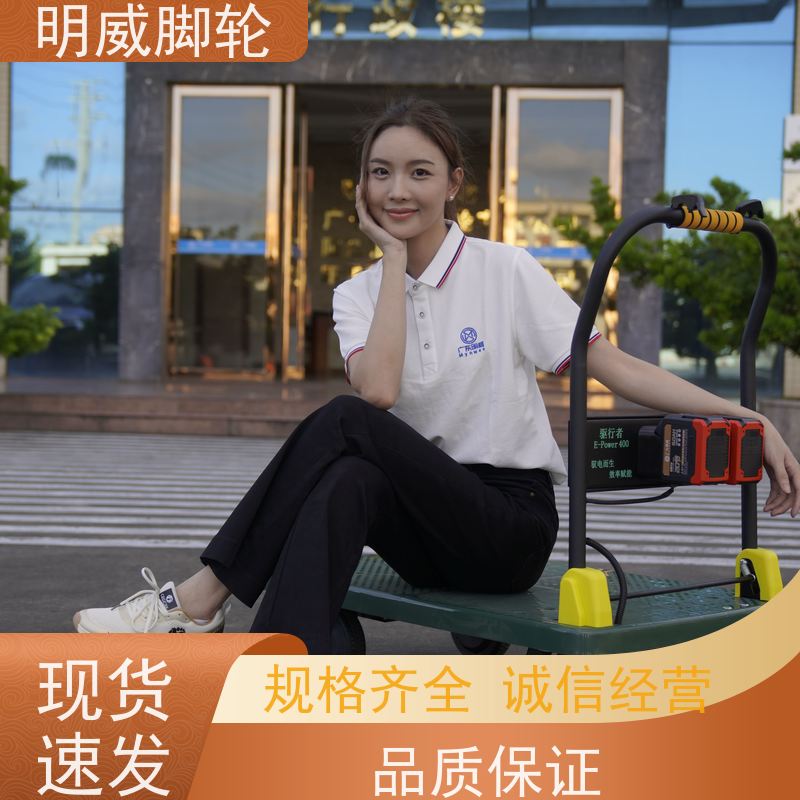 明威mw 60*90cm 手推平板电动车 多功能使用 厂家