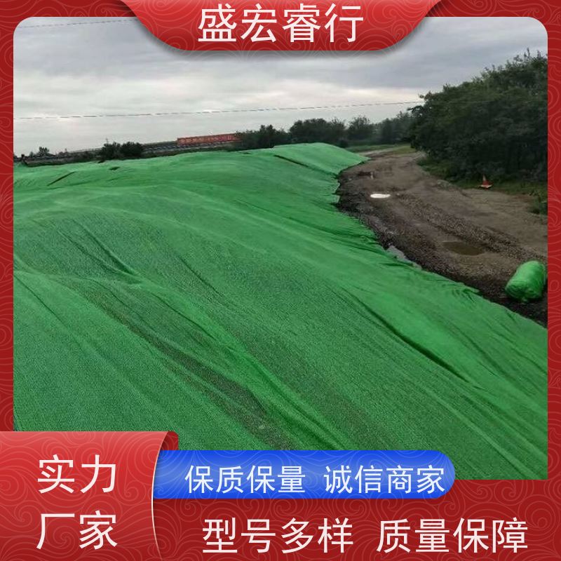盛宏睿行 热烫土工布  聚酯长丝 堤坝水库加固反滤布